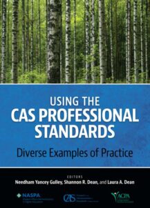 Using the CAS Professional Standards book cover