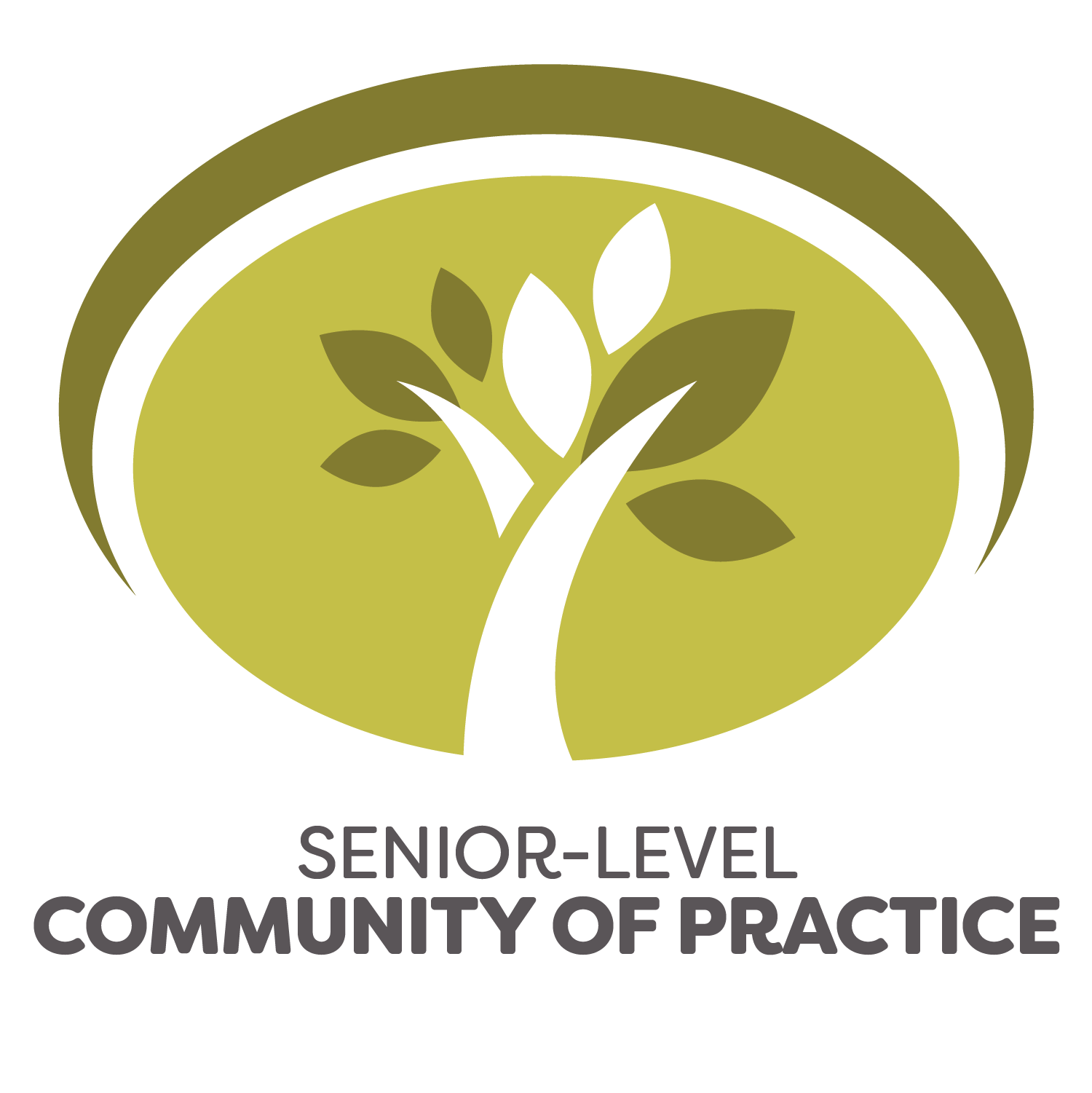 Mid-Level Community of Practice logo