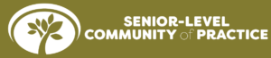 Senior level community of practice