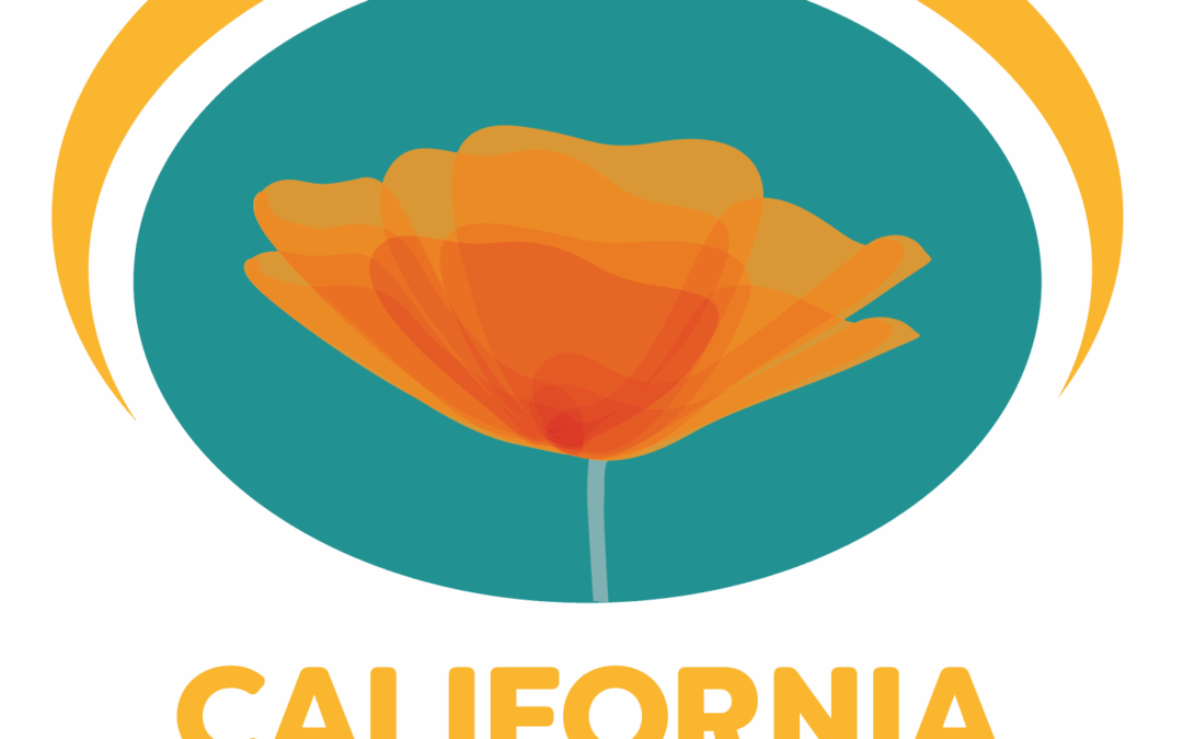 Leadership Styles & Self Discovery